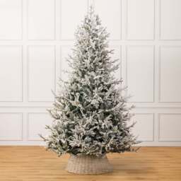 Verbier Fir Flocked Christmas Tree - Christow - thumbnail 3