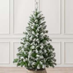 Chamonix Spruce Flocked Christmas Tree - Christow - thumbnail 1