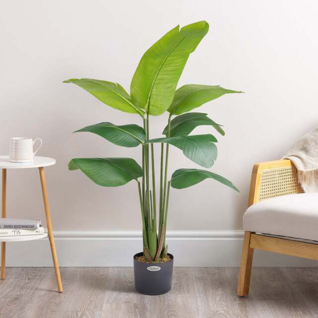 Artificial Banana Tree – 4ft & 5ft - Christow - image 1