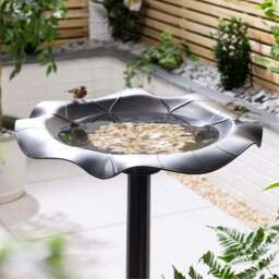 Weightable Lily Leaf Resin Bird Bath - Christow - thumbnail 2