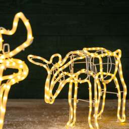 Warm White LED Reindeer - Christow - thumbnail 3