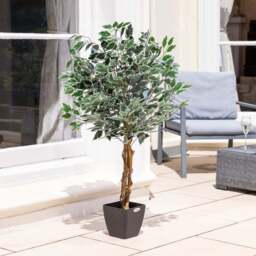 Artificial Variegated Ficus Tree – 3ft, 4ft & 5ft - Christow - thumbnail 5