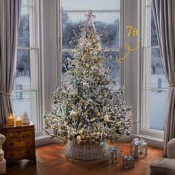 Pre-Lit Verbier Fir Flocked Artificial Christmas Tree - Christow - thumbnail 4