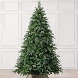 Fraser Fir Artifcial Christmas Tree - Christow - thumbnail 5