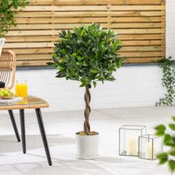 Artificial Bay Tree – 3ft & 4ft - Christow - thumbnail 2