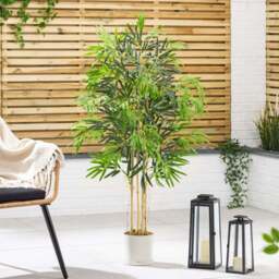Artificial Bamboo Plant – 3ft, 4ft & 5ft - Christow - thumbnail 4