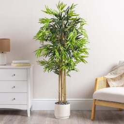 Artificial Bamboo Plant – 3ft, 4ft & 5ft - Christow - thumbnail 5