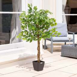 Artificial Ficus Tree – 3ft, 4ft & 5ft - Christow - thumbnail 5