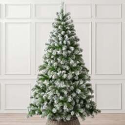 Chamonix Spruce Flocked Christmas Tree - Christow