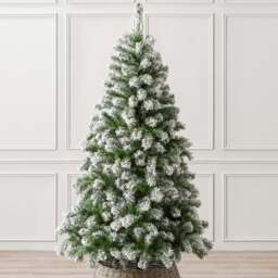 Chamonix Spruce Flocked Christmas Tree - Christow - thumbnail 3