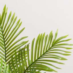 Artificial Areca Palm Tree – 3-6ft - Christow - thumbnail 3