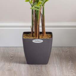 Artificial Areca Palm Tree – 3-6ft - Christow - thumbnail 4