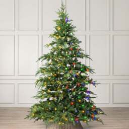 Pre-Lit Nordmann Fir Artificial Christmas Tree - Christow - thumbnail 5