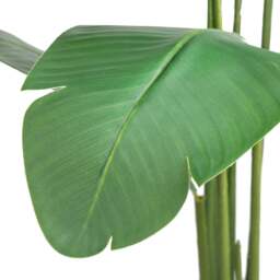 Artificial Banana Tree – 4ft & 5ft - Christow - thumbnail 3