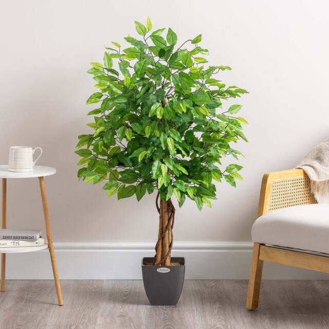 Artificial Ficus Tree – 3ft, 4ft & 5ft - Christow - image 1