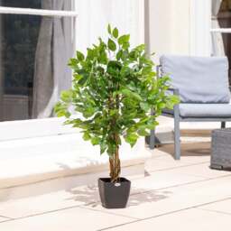 Artificial Ficus Tree – 3ft, 4ft & 5ft - Christow - thumbnail 2