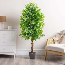 Artificial Ficus Tree – 3ft, 4ft & 5ft - Christow - thumbnail 5