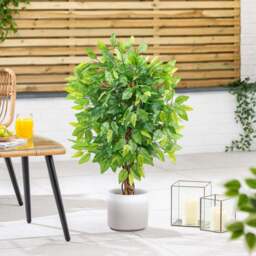 Artificial Ficus Tree – 3ft, 4ft & 5ft - Christow - thumbnail 3