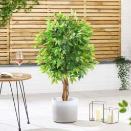 Artificial Ficus Tree – 3ft, 4ft & 5ft - Christow - thumbnail 6