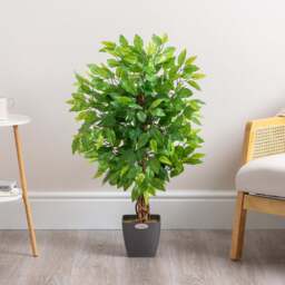 Artificial Ficus Tree – 3ft, 4ft & 5ft - Christow
