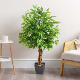 Artificial Ficus Tree – 3ft, 4ft & 5ft - Christow - thumbnail 4