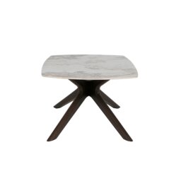 Amelia Coffee Table - thumbnail 3