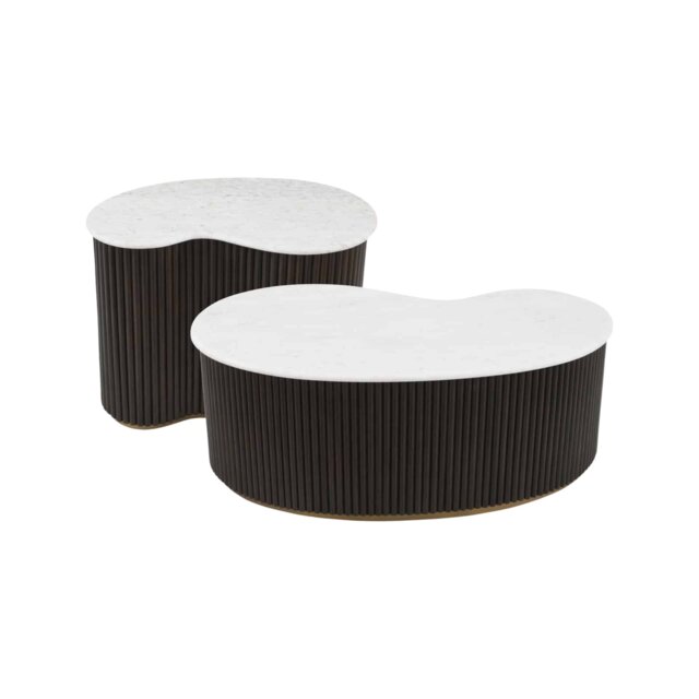 Mayfield Set of 2 Coffee Tables - image 1