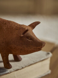 Rusty Pig - Small - thumbnail 2