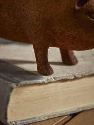 Rusty Pig - Small - thumbnail 3