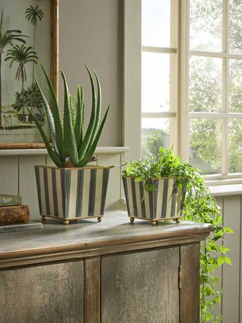 Monochrome Stripe Planters - image 1