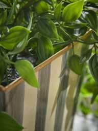 Monochrome Stripe Planters - thumbnail 2