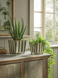 Monochrome Stripe Planters