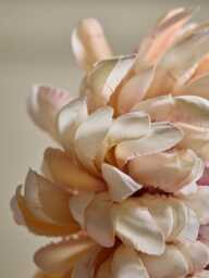Chrysanthemum Spray - Pink - thumbnail 4