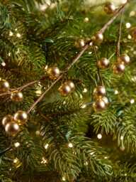 Golden Berry Garland