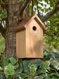 Copper Roof Bird House
