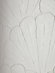 Textured Shell Canvas - thumbnail 2