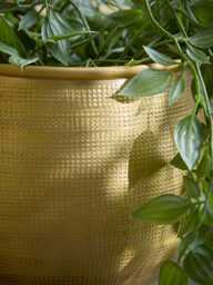 Two Embossed Planters - Brass - thumbnail 2