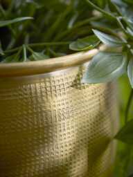 Two Embossed Planters - Brass - thumbnail 4