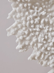 Faux Standing Coral - Tall - thumbnail 4