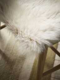 Sumptuous Sheepskin Square Seat Pad - Natural - thumbnail 3