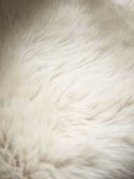Sumptuous Sheepskin Square Seat Pad - Natural - thumbnail 2
