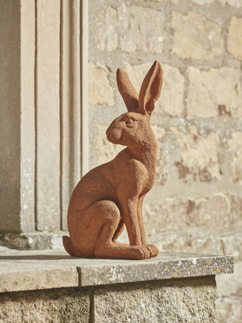 Rusty Hare - image 1