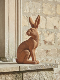 Rusty Hare - thumbnail 1