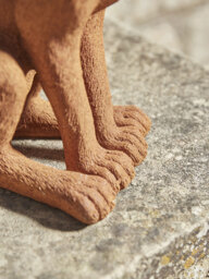 Rusty Hare - thumbnail 3