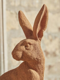 Rusty Hare - thumbnail 2