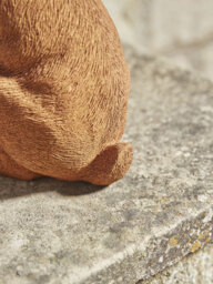Rusty Hare - thumbnail 4