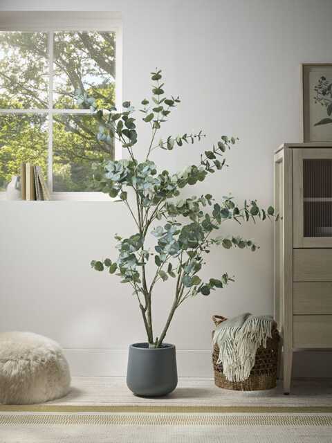 Faux Potted Eucalyptus Tree - Large - image 1