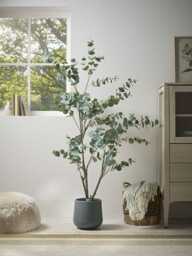Faux Potted Eucalyptus Tree - Large - thumbnail 1