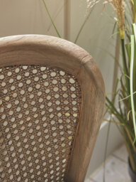 Lilianna Dining Chair - thumbnail 3