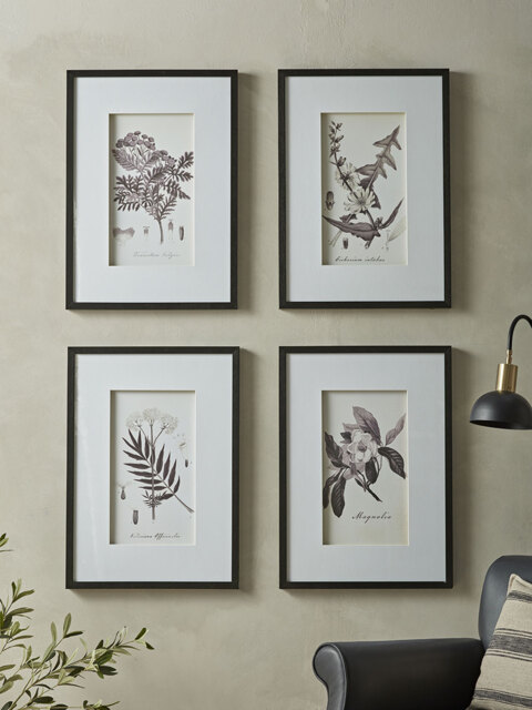 Four Botanical Framed Prints - image 1